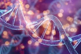 A Better Understanding of DNA